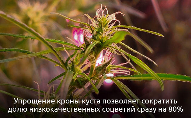 Качество важнее количества