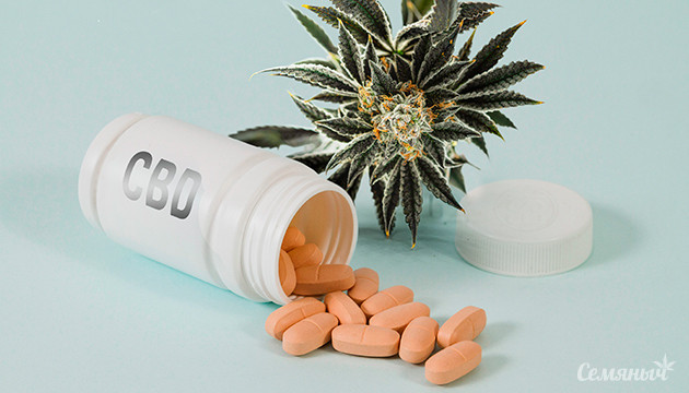 Препарат КБД для облегчения боли в виде таблетки Первая в мире таблетка КБД для облегчения хронической боли