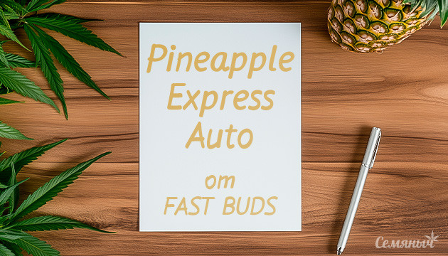 Гроурепорт сорта Pineapple Express