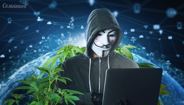 Анонимность в сети