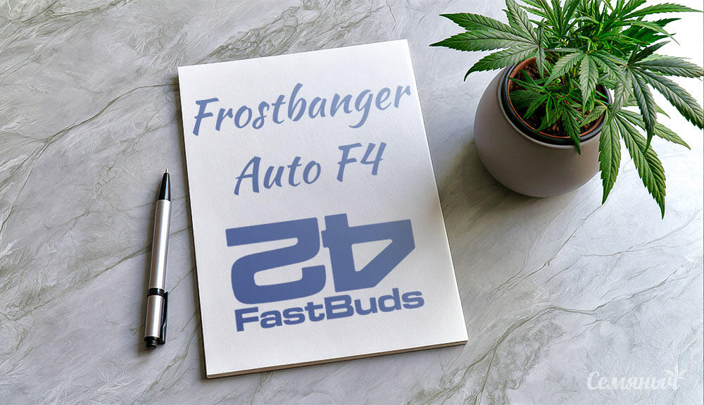 Гроурепорт сорта конопли Frostbanger Auto F4