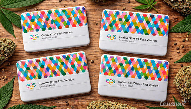 Новые сорта конопли от сидбанка Easy Grow Seeds Новые сорта от Easy Grow Seeds