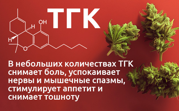 Дельта-8 и Дельта-9: сравнение ТГК