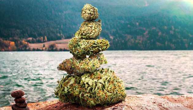 Баланс из шишек