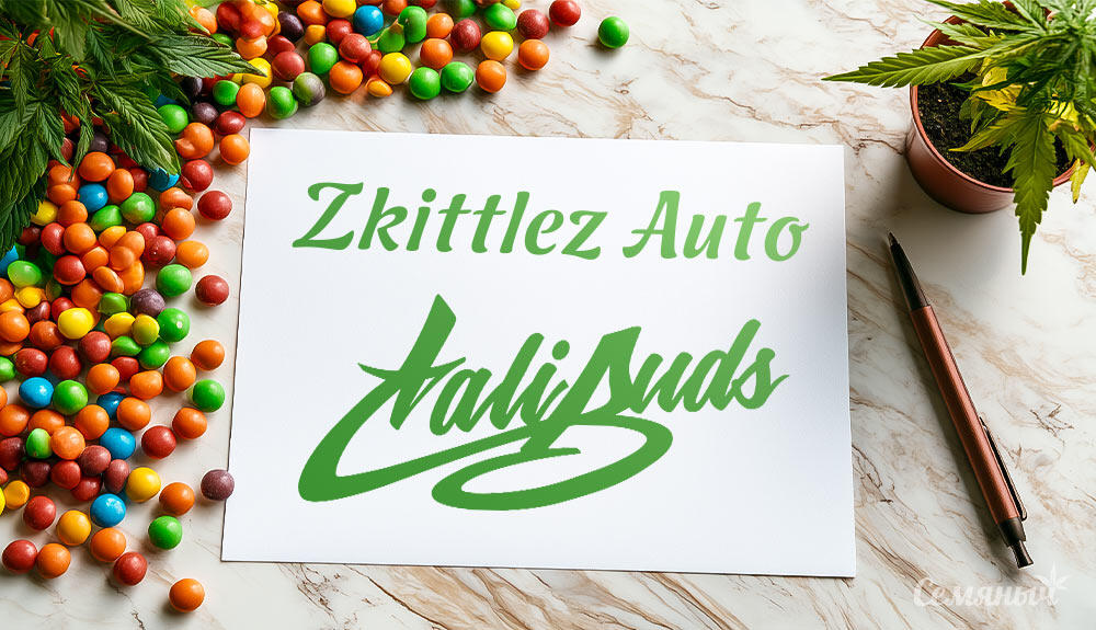 Гроурепорт сорта Zkittlez Auto