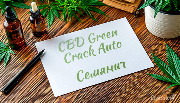 Гроурепорт сорта CBD Green Crack Auto от Семяныча