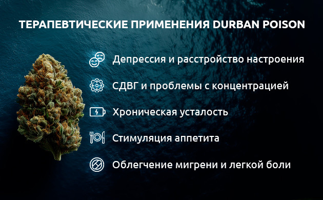 Терапевтические применения Durban Poison