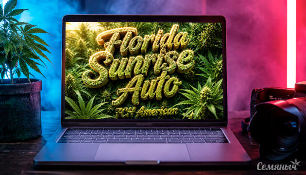 Гроурепорт сорта Florida Sunrise Auto от 7CH American