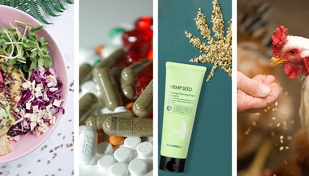 Использование семян конопли Применение семян марихуаны