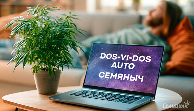 Гроурепорт сорта Dos-Vi-Dos Auto от сидбанка Семяныч