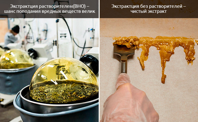 Безопасность и экологичность: Выбор Никки Ти для производства гашиша Никки Ти выбирает ледяную воду: Безопасность и экология