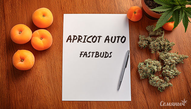 Выращивание сорта марихуаны Apricot Auto от FastBuds Гроурепорт сорта Apricot Auto от FastBuds