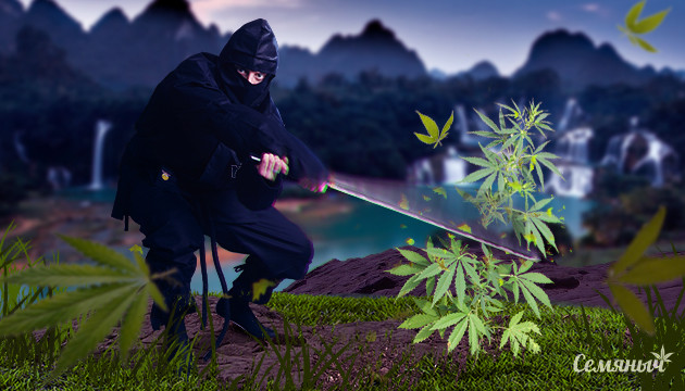 Выполнение ФИМ-обрезки