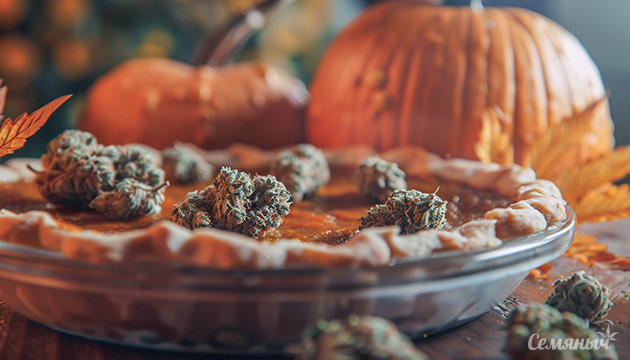 Как приготовить тыквенный пирог с коноплей