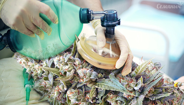 Повторная ревегетация