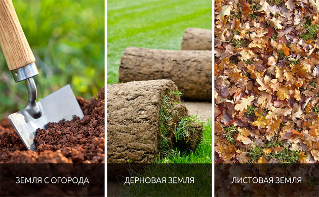 Земля для выращивания конопли