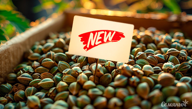 Новые семена от Семяныча