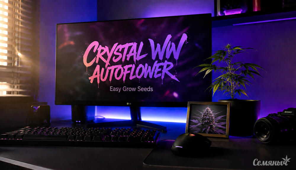 Гроурепорт сорта Crystal WW Autoflower от Easy Grow Seeds