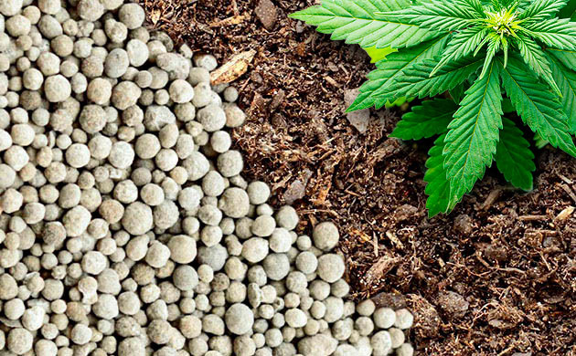 Удобрения и стимуляторы