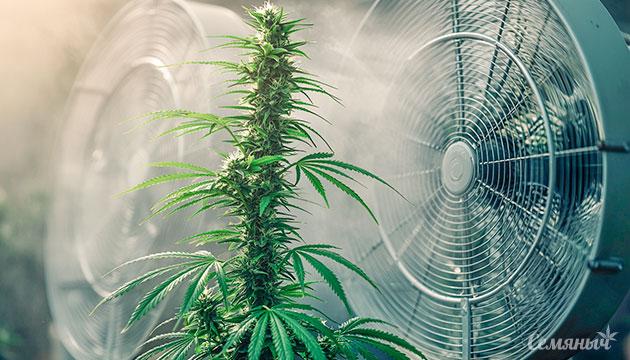 Расчет мощности вентиляции в гроубоксе