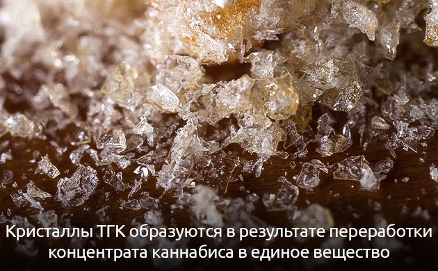 Кристаллы ТГК образуются после переработки концентрата каннабиса