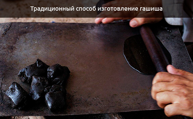 BHO против гашиша без растворителей: Путь Никки Ти Никка Ти: Дорога от BHO к solventless гашишу