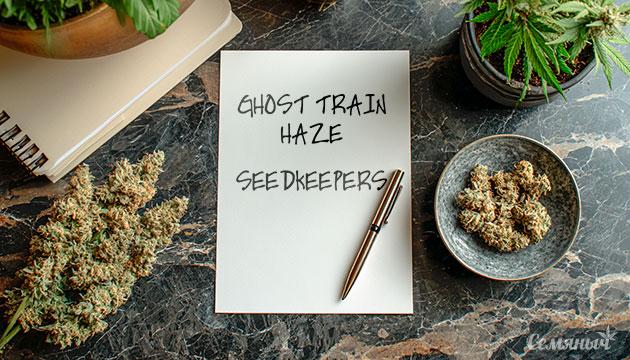 Гроурепорт сорта марихуаны Ghost Train Haze