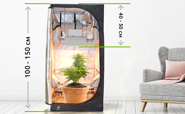 Ограниченное пространство в гроубоксе Размеры гроубокса