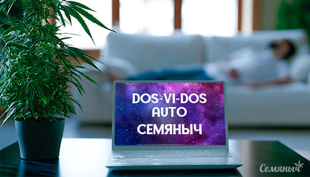 Гроурепорт сорта Dos-Vi-Dos Auto fem от Семяныча