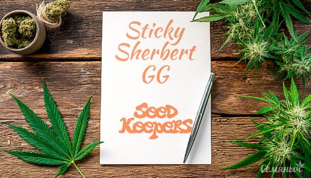 Гроурепорт сорта марихуаны Sticky Sherbert GG