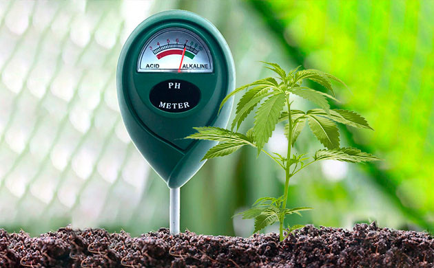 Плохой уровень кислотности или ЕС