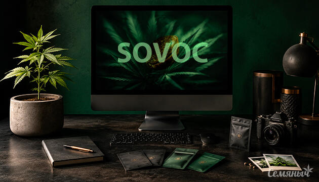 Магазин семян конопли Sovoc