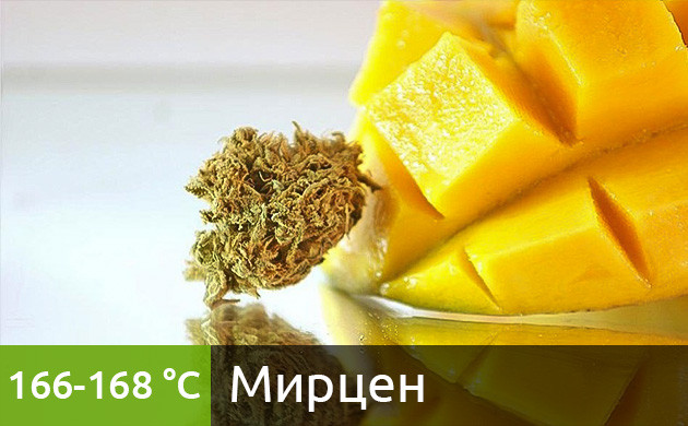 Рекомендуемая температура нагрева для мирцена в вейпе (166-168 °C) Оптимальная температура для вейпинга мирцена (166-168 °C)