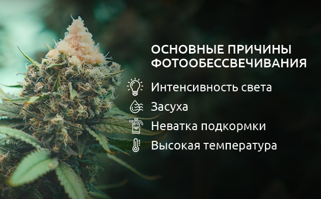 Причины фотообесцвечивания Влияние факторов окружающей среды