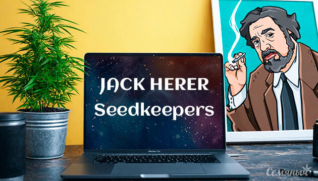 Гроурепорт сорта марихуаны Jack Herer