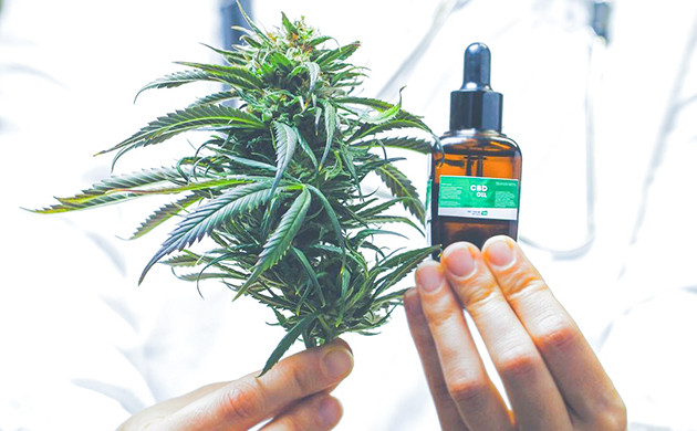 Как выбрать КБД-масло: состав и производство