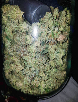 Пролечка шишек Сухие шишки в банке