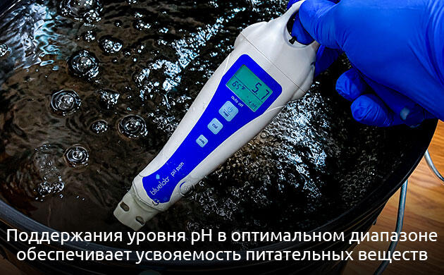Контроль pH питательного раствора в системе DWC Секрет №8. Контроль pH