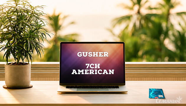 Гроурепорт сорта конопли Gusher от 7CH American