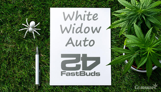 Гроурепорт сорта White Widow Auto