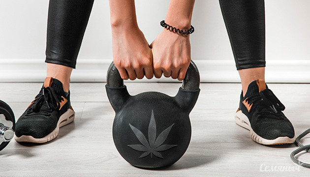 Физическая нагрузка и каннабис