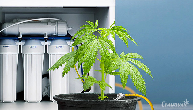 Применение системы обратного осмоса Очистка воды через обратный осмос