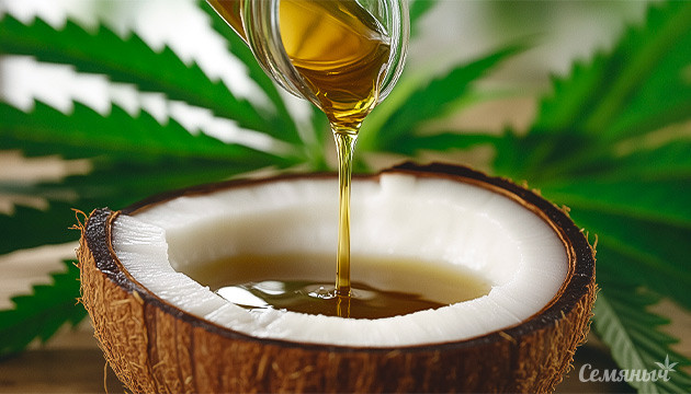 Как приготовить кокосовое канна-масло без горечи Мягкое и ароматное ТГК-масло