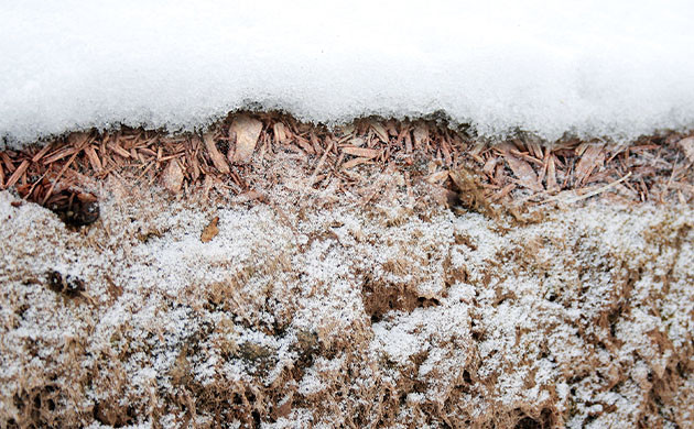 Биологическая активность почвы зимой Улучшение качества земли в межсезонье