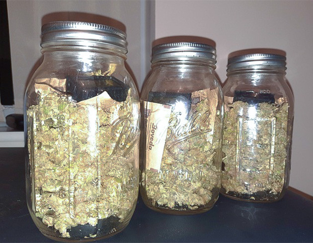 Сбор урожая Jack 47