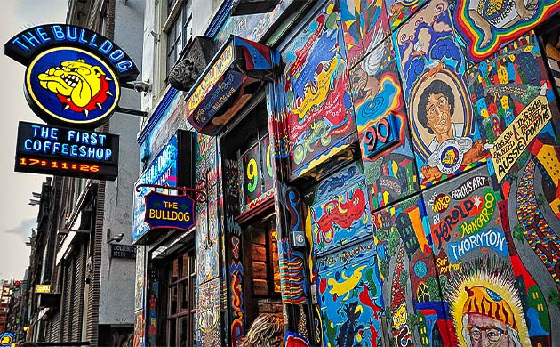 Амстердамский кофешоп The Bulldog Кофешоп The Bulldog в Амстердаме