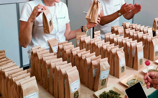 Представитель канна-брендов