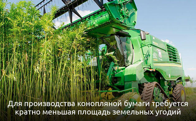 Преимущества конопляной бумаги Почему конопля выигрывает у древесины по урожайности?