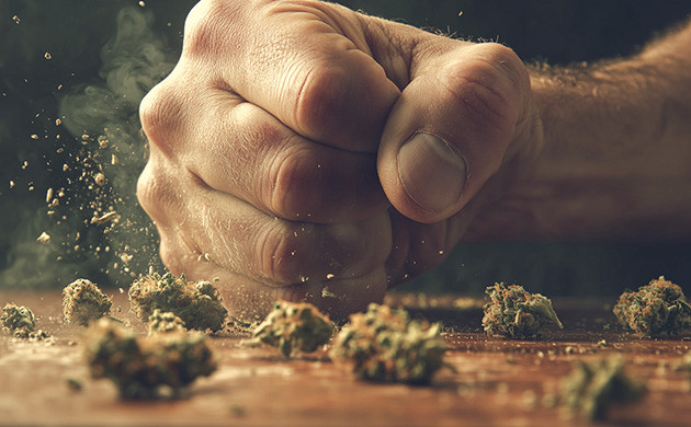 Критическое мышление в гровинге Не бойтесь сомневаться в советах