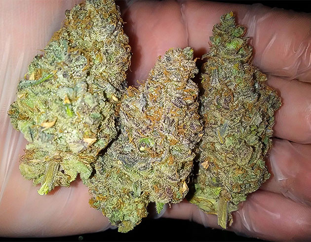 Сбор урожая и впечатления от гровера Харвест и общие впечатления